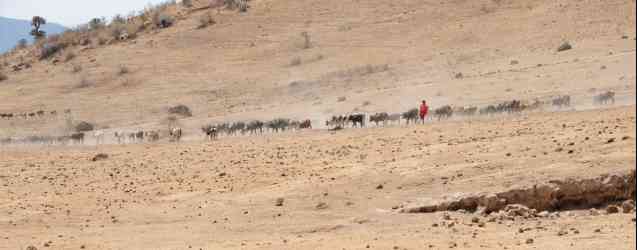 african tribes